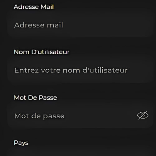 Instruction Remplissez vos informations