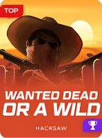 Jeu Wanted Dead or a Wild