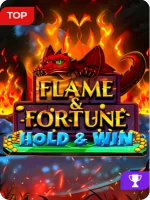 Jeu Flame and Fortune: Hold and Win