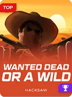 Jeu Wanted Dead or a Wild